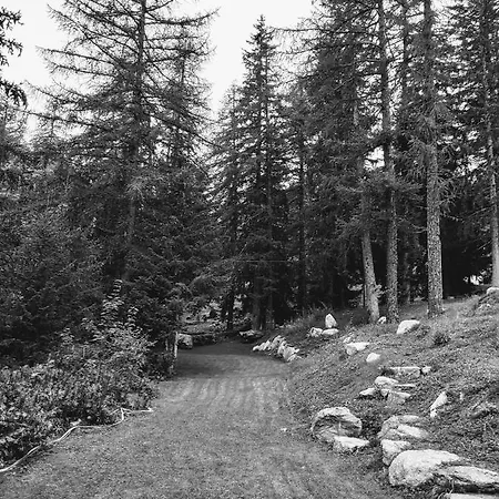 Chalet Val Ferret Mont Blanc Exclusive Alpesi faház Courmayeur